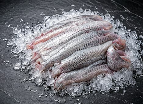 Filet de Merluza