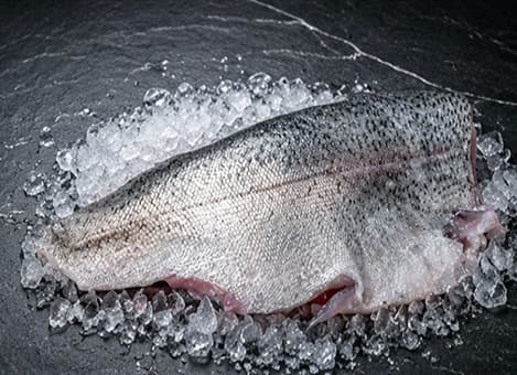 Filet de Truchón