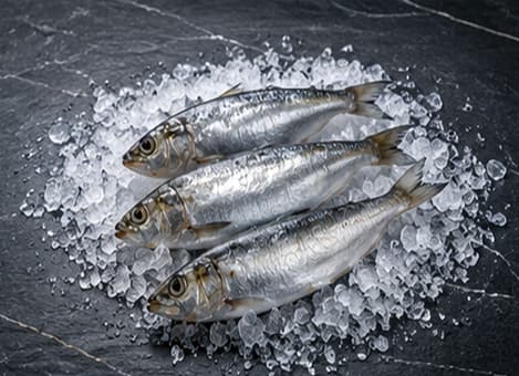 Sardina Portuguesa