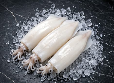 Tubos para Rabas